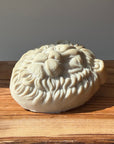 soap bar LION (hair growth)