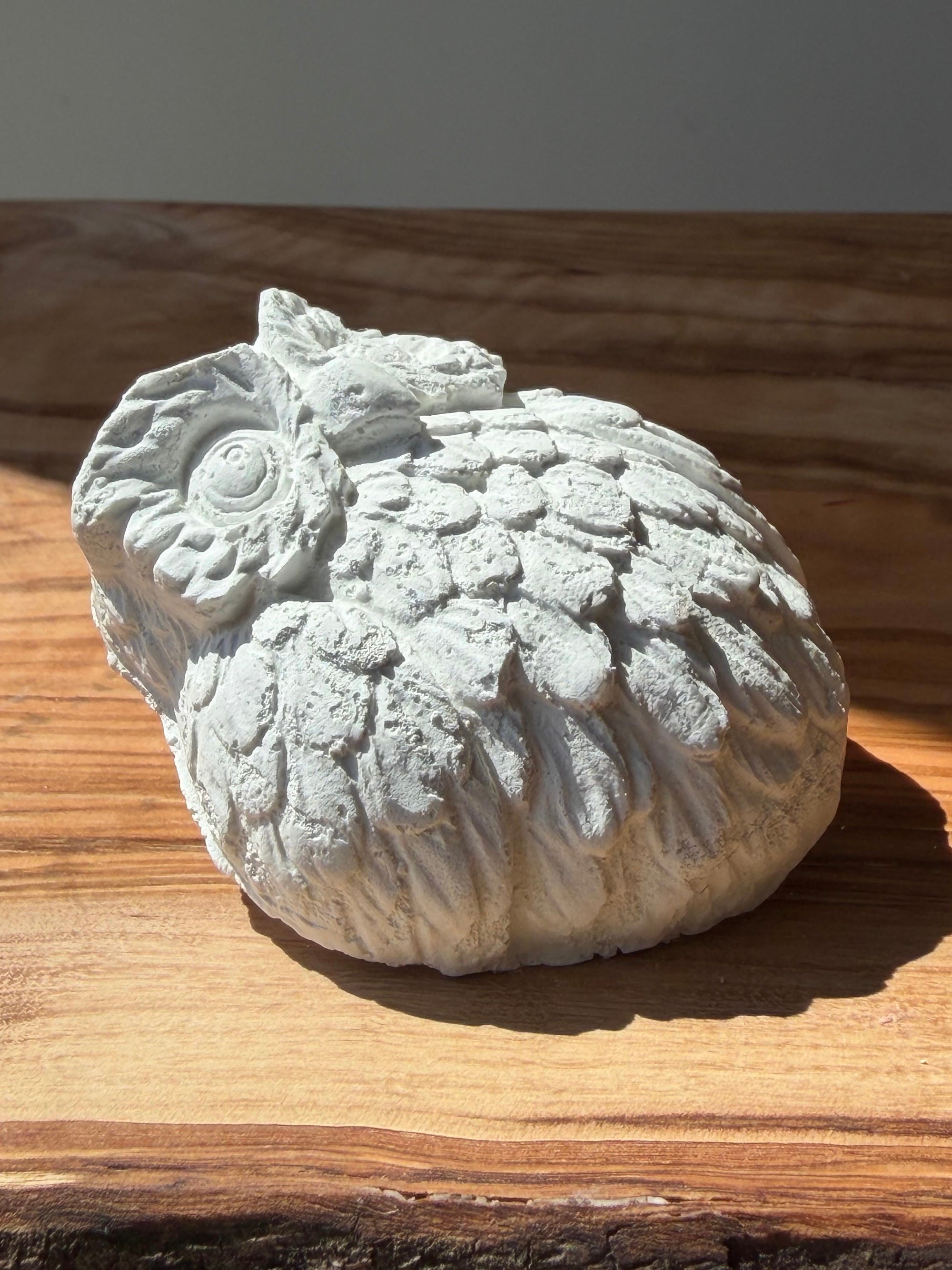 soap bar OWLSOME (dry hands)