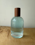 hair perfume AQUA LUCIA (enriched hair perfume)