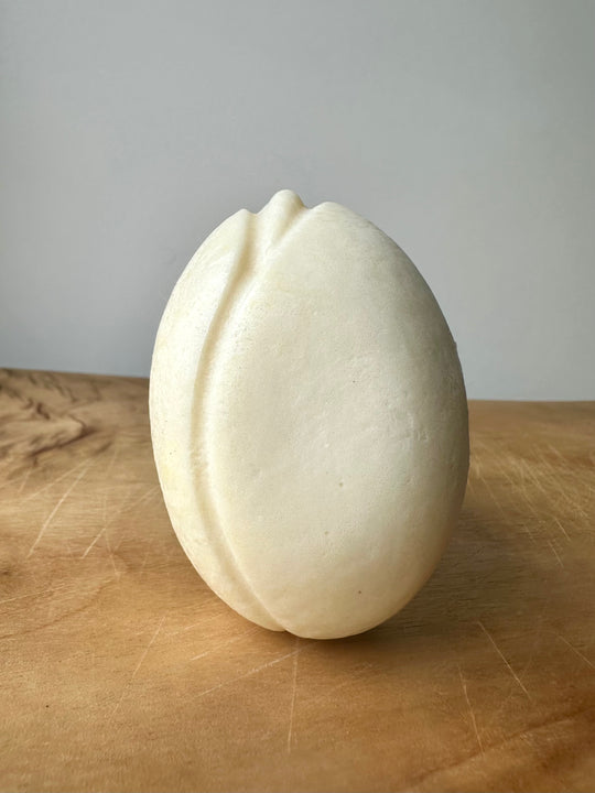conditioner bar SILKY TULIP