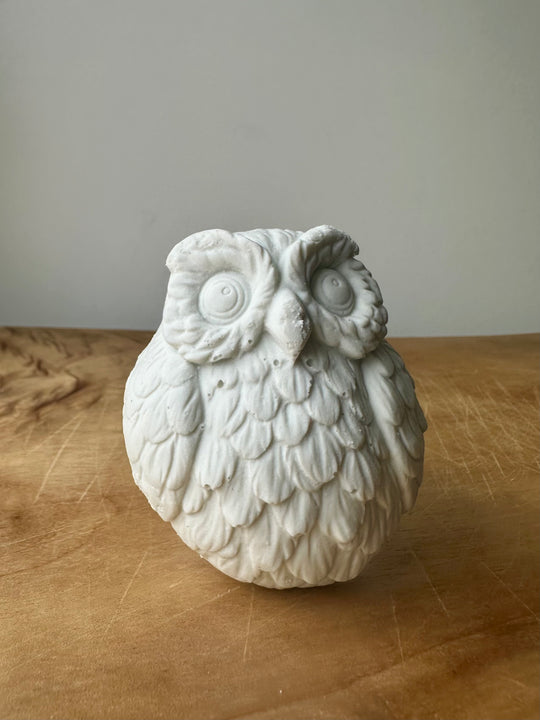 soap bar OWLSOME (dry hands)