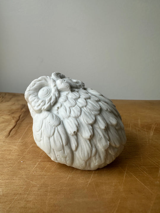 soap bar OWLSOME (dry hands)