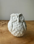 soap bar OWLSOME (dry hands)