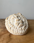 soap bar LION (hair growth)